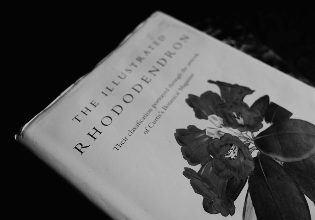 Pennyhill book titled The Illustrated Rhododendron